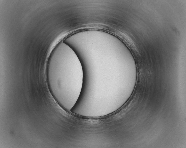 X0000111901180200908101134