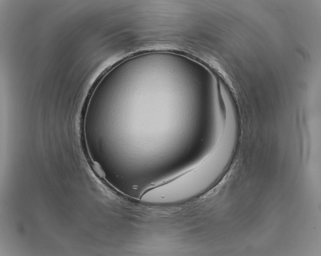 X0000111901181200908101134