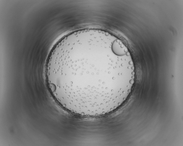 X0000111901182200908101134