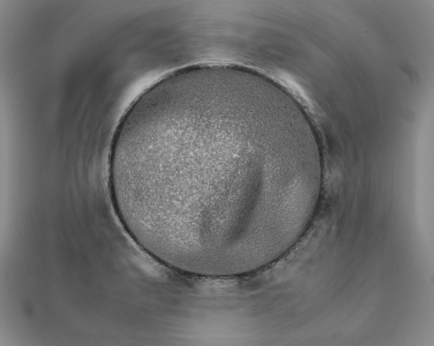 X0000111901183200908101134