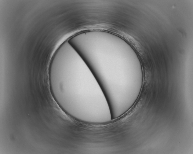 X0000111901184200908101134