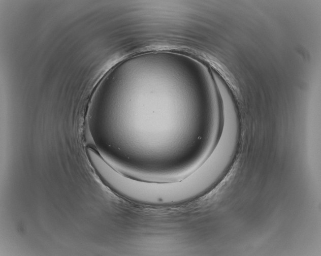 X0000111901185200908101134