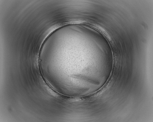 X0000111901186200908101134