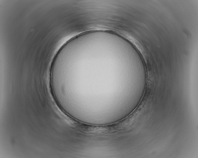 X0000111901187200908101134