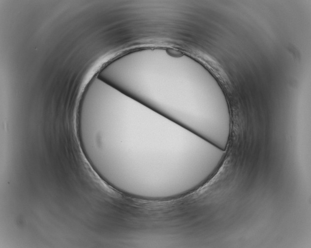 X0000111901188200908101134