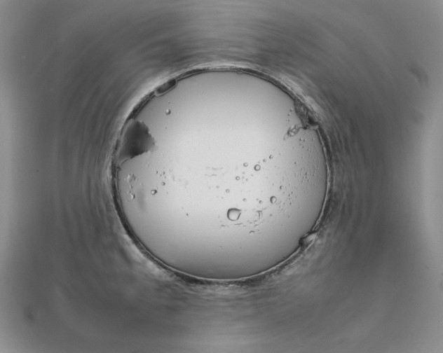 X0000111901189200908101134