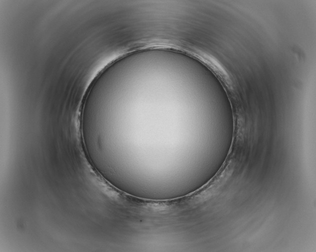 X0000111901190200908101134