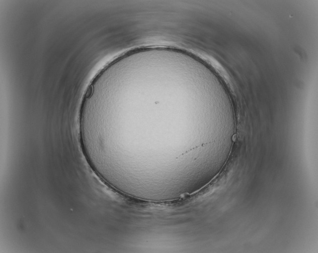 X0000111901191200908101134