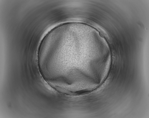 X0000111901192200908101134