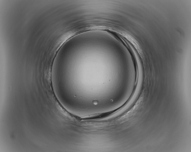 X0000111901193200908101134