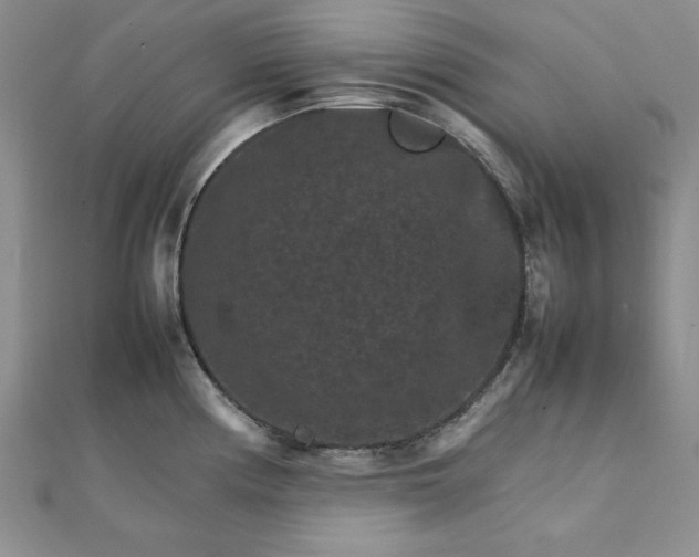 X0000111901194200908101134