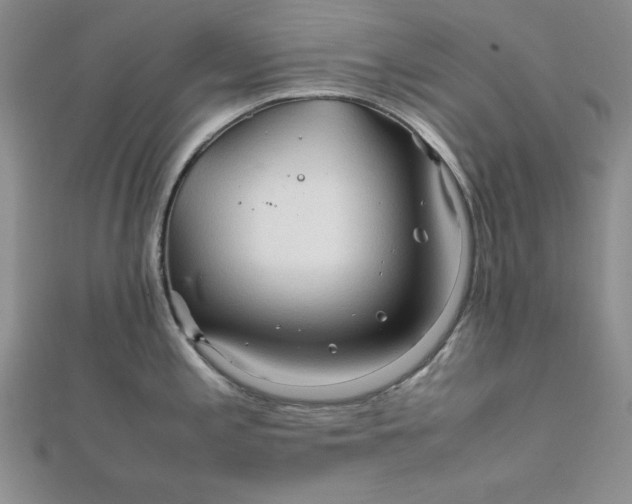 X0000111901197200908101134