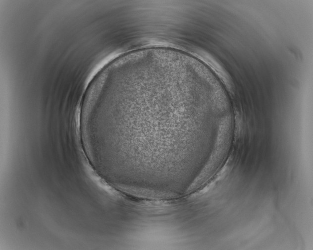 X0000111901198200908101134