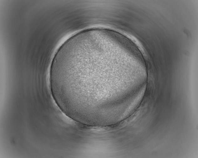 X0000111901199200908101134