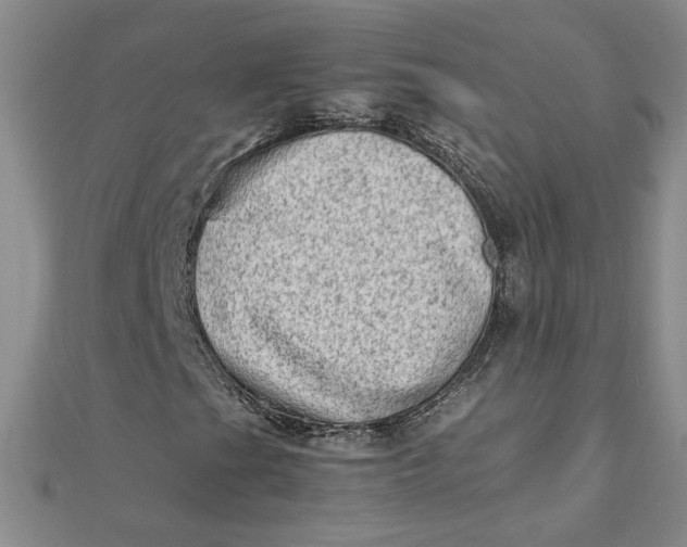 X0000111901201200908101133