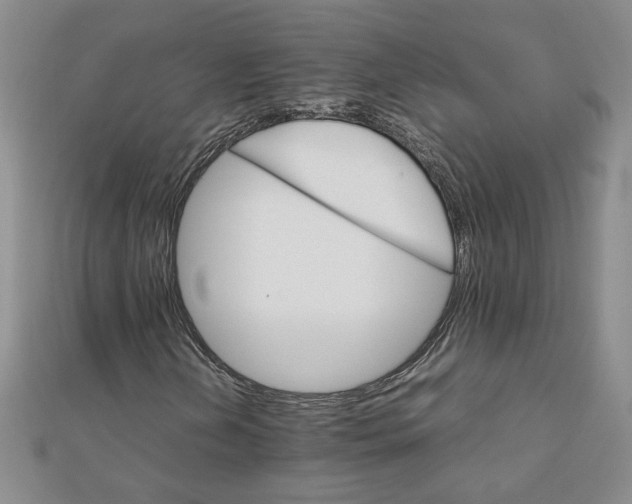 X0000111901202200908101133