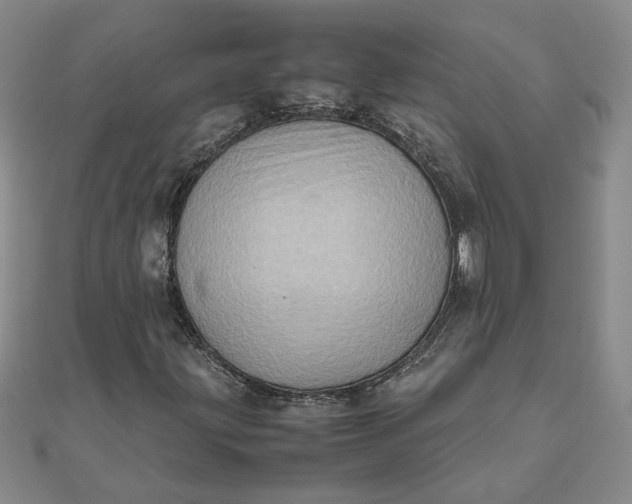 X0000111901203200908101133