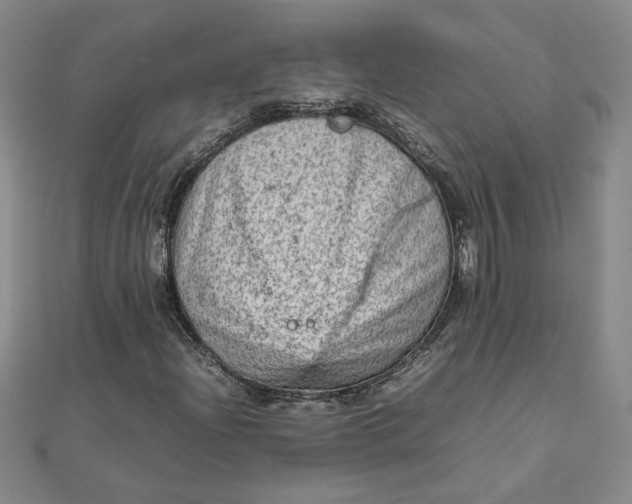 X0000111901204200908101133