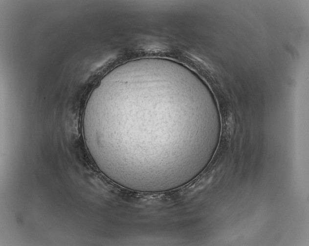 X0000111901205200908101133