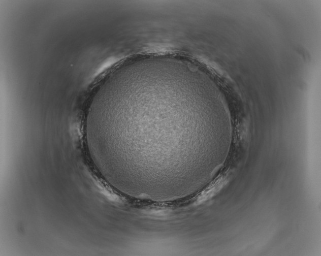 X0000111901206200908101133