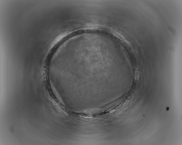 X0000111901208200908101133