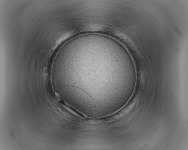 X0000111901210200908101133