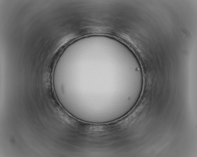 X0000111901211200908101133