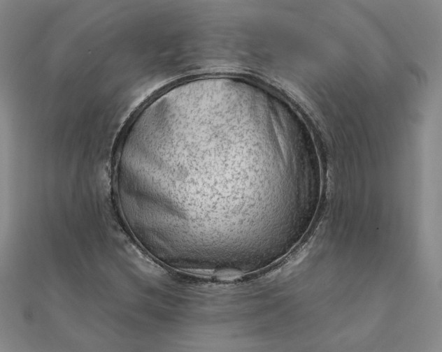 X0000111901212200908101133