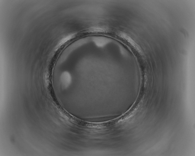 X0000111901213200908101133