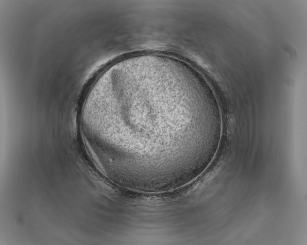 X0000111901214200908101133