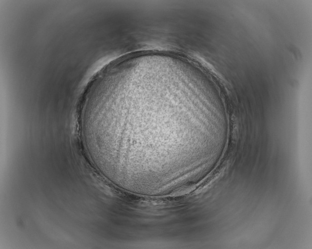 X0000111901215200908101133