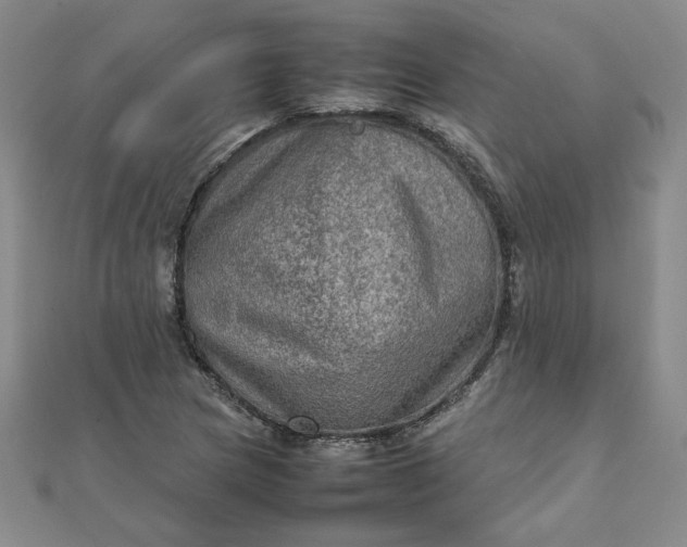 X0000111901217200908101133