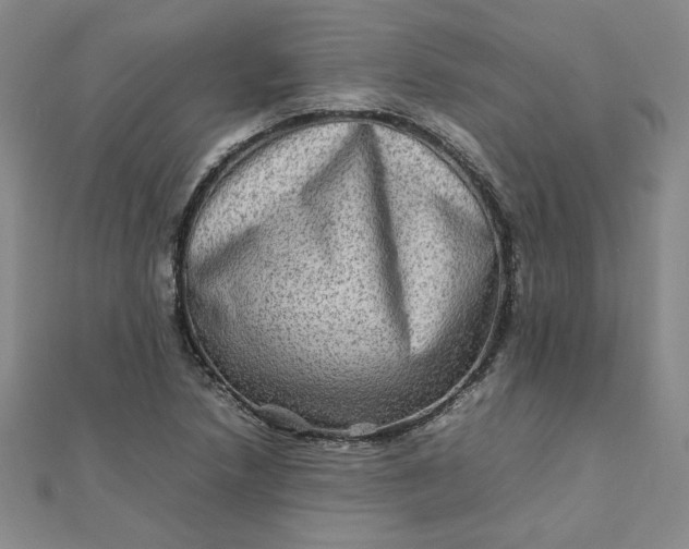 X0000111901218200908101133