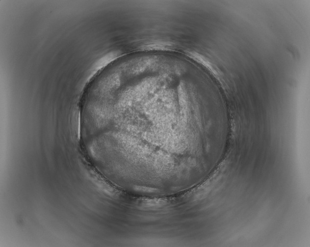 X0000111901219200908101133