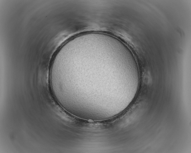 X0000111901220200908101133