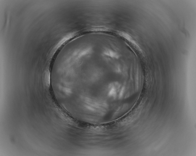 X0000111901221200908101133