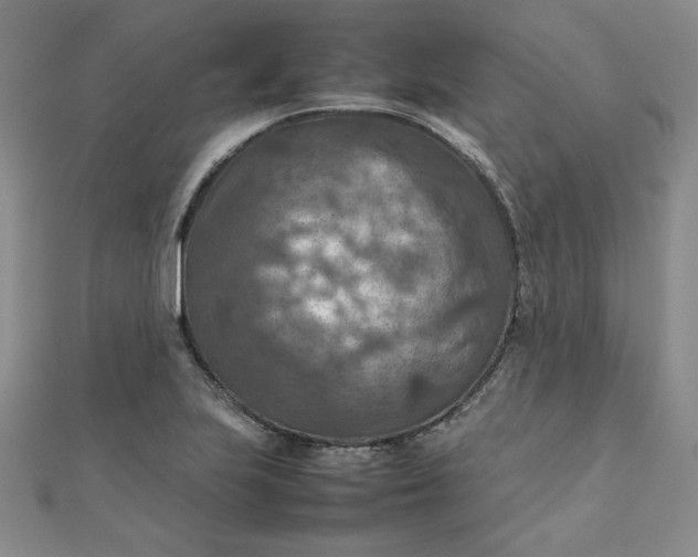 X0000111901223200908101133