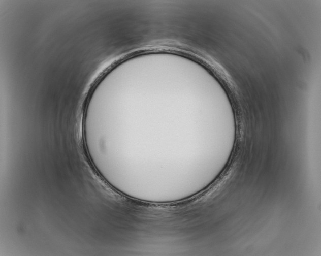 X0000111901224200908101133