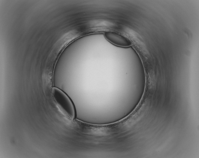 X0000111901225200908101133