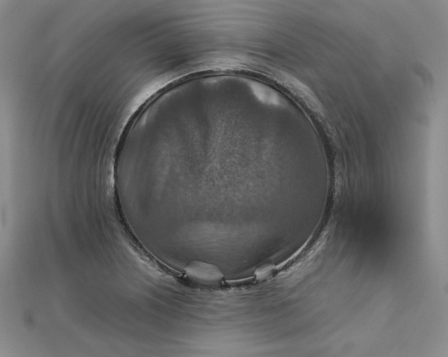 X0000111901226200908101133