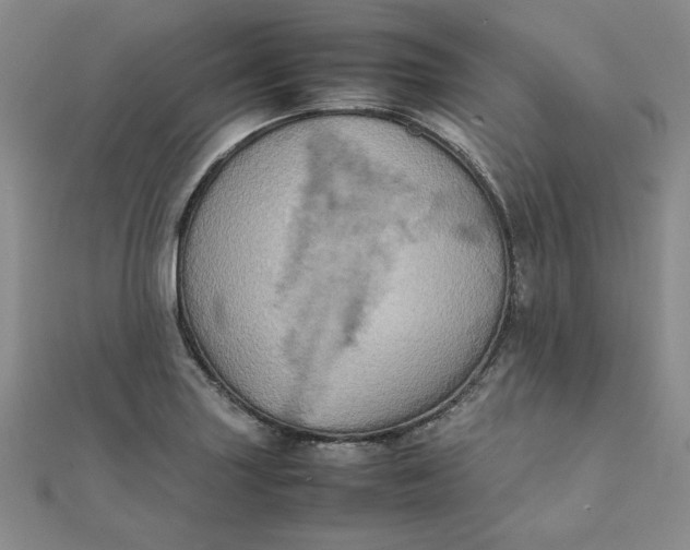 X0000111901227200908101133