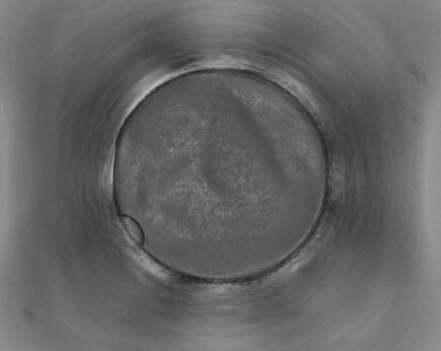 X0000111901228200908101133