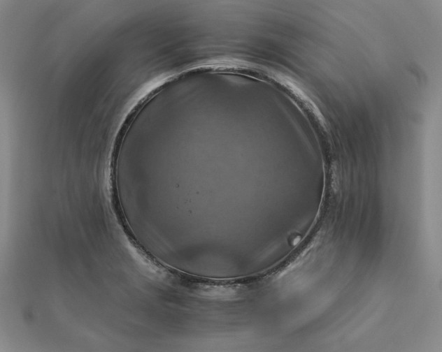 X0000111901229200908101133