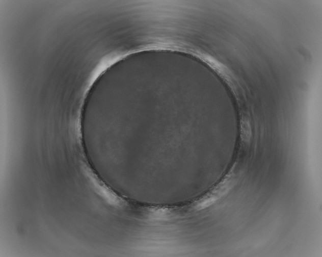 X0000111901230200908101133