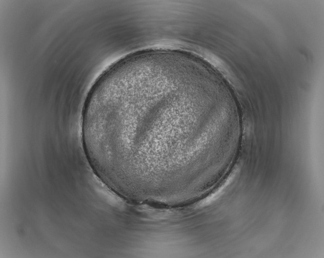 X0000111901232200908101133