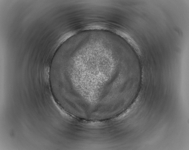 X0000111901233200908101133