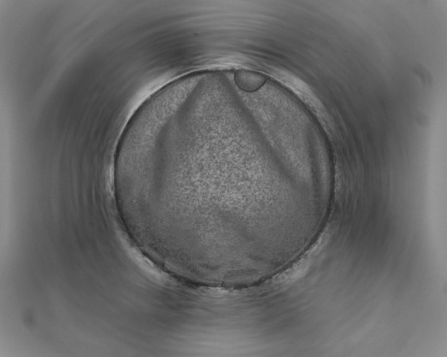 X0000111901234200908101133