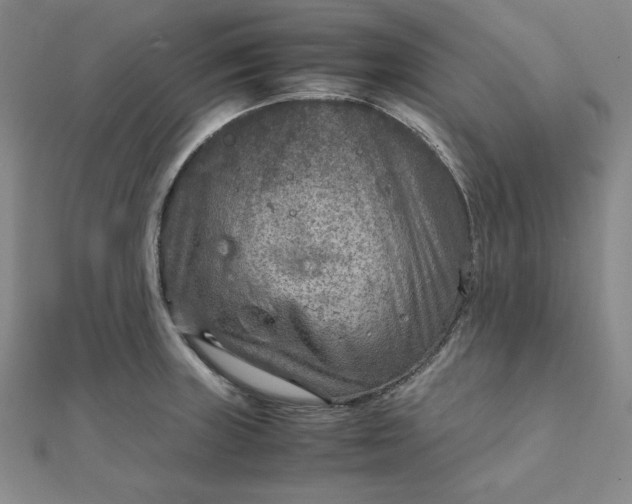 X0000111901235200908101133