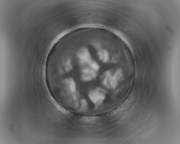 X0000111901237200908101134