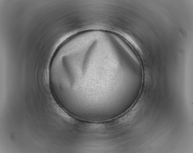 X0000111901238200908101134